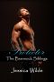 [The Brannock Siblings 04] • Protector (The Brannock Siblings Book 4)